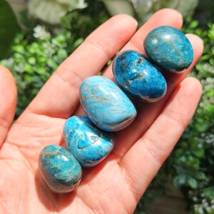 May include: Five polished, oval-shaped blue apatite stones. The stones vary in shades of blue, with some displaying streaks of lighter blue and brown. The stones are smooth and glossy, and are held in an open hand.