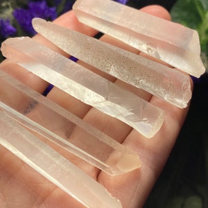 May include: Five clear quartz crystal points, also known as wands, are arranged in a row on a hand. The points are various lengths and have a natural, raw finish.