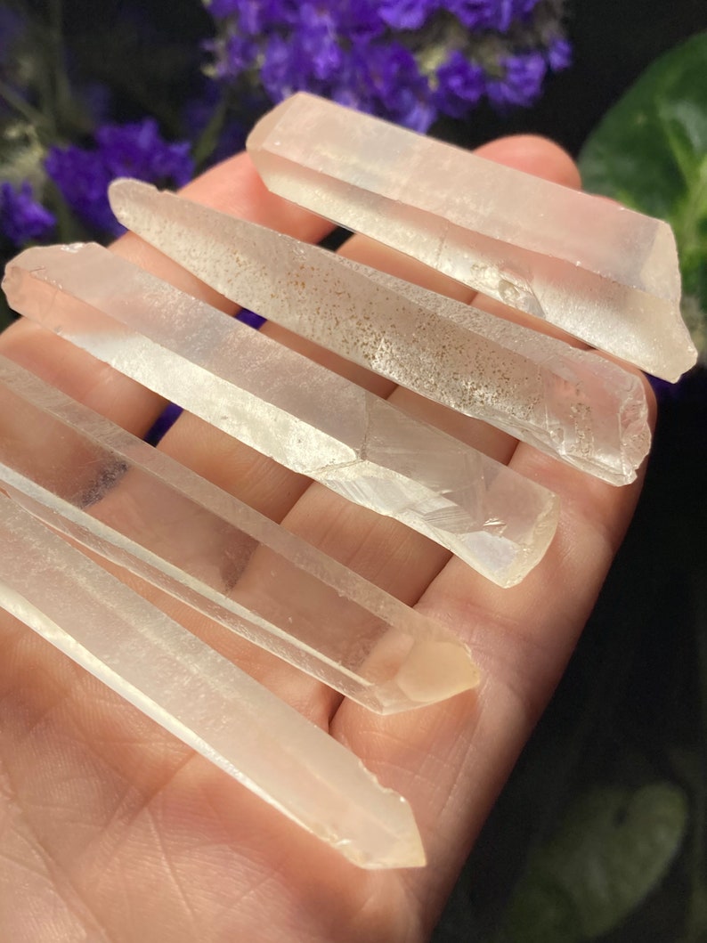 May include: Five clear quartz crystal points, also known as wands, are arranged in a row on a hand. The points are various lengths and have a natural, raw finish.