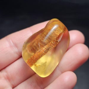 May include: A polished, translucent golden-yellow amber stone featuring a distinct, elongated dark brown organic inclusion with a textured, granular surface running diagonally through the center of the smooth, rounded gemstone.