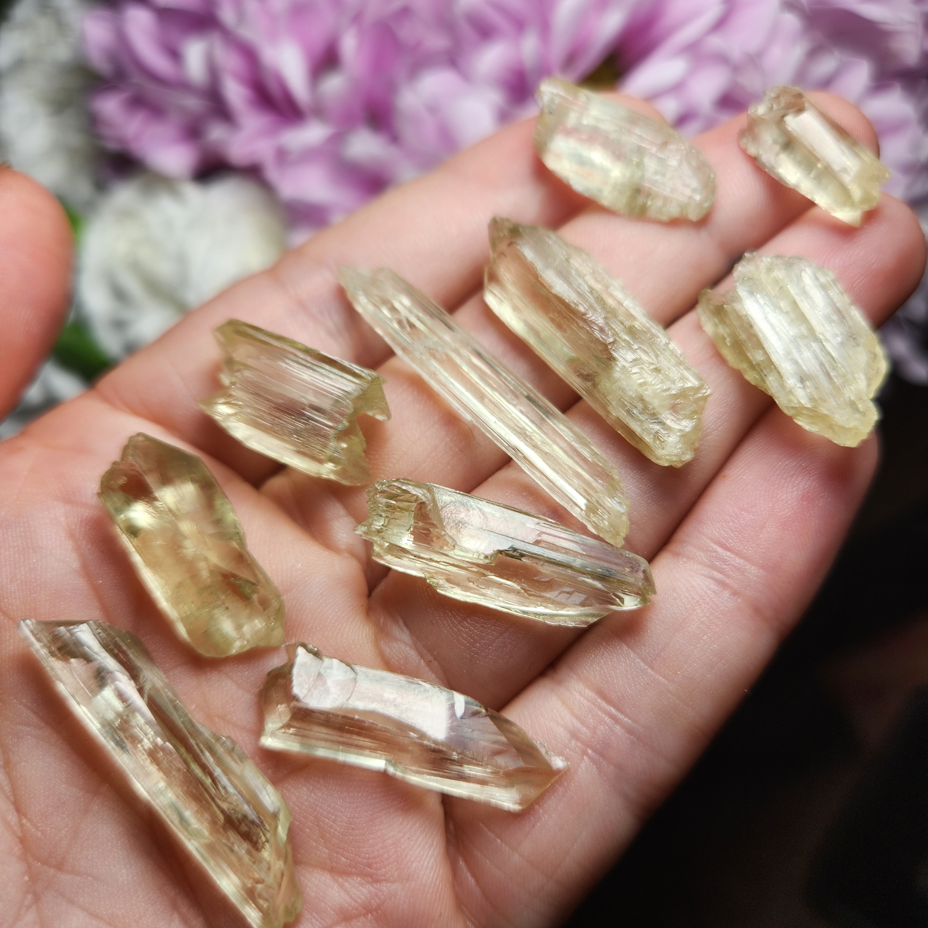 原石のゴールデンクンツァイト結晶標本：天然の黄色いスポジュメン