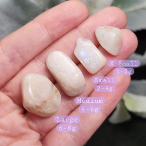 Puede incluir: Cuatro piedras de luna pulidas de diferentes tama&ntilde;os, que van desde X-Small (1-2g) hasta Large (6-8g). Las piedras son de color blanco cremoso con una sutil iridiscencia. Los tama&ntilde;os est&aacute;n etiquetados en p&uacute;rpura.