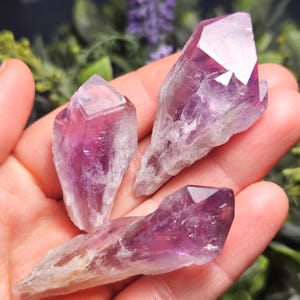May include: Three amethyst crystal points with a vibrant purple hue and natural, rough edges. The crystals are held in a hand, showcasing their faceted surfaces and varying sizes. The crystals are a popular choice for spiritual practices.