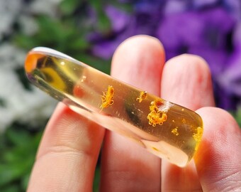 洋楽 bugs in amber rocketship leters 洋楽 bugs in amber rocketship leters Amber With Rare Bug and