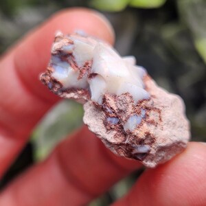 May include: A raw, unpolished piece of white opal gemstone embedded in a rough, reddish-brown matrix rock. The stone features translucent, milky white sections with subtle iridescent flashes and jagged, uneven edges throughout the mineral specimen.