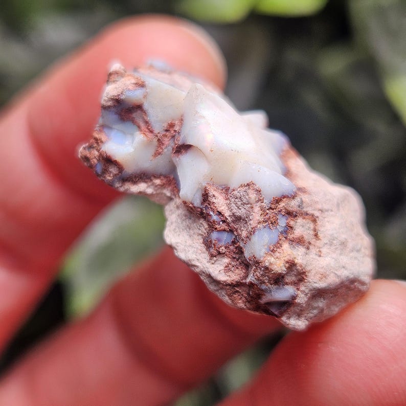May include: A raw, unpolished piece of white opal gemstone embedded in a rough, reddish-brown matrix rock. The stone features translucent, milky white sections with subtle iridescent flashes and jagged, uneven edges throughout the mineral specimen.