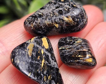 Grönland Nuummite Trommelstein, authentischer Nuummite Kristall