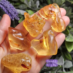 May include: Five pieces of polished amber in various irregular shapes and shades of translucent golden yellow and opaque honey brown. A purple rectangular label with white text reads Small 6-10g, indicating the weight of these natural stones.