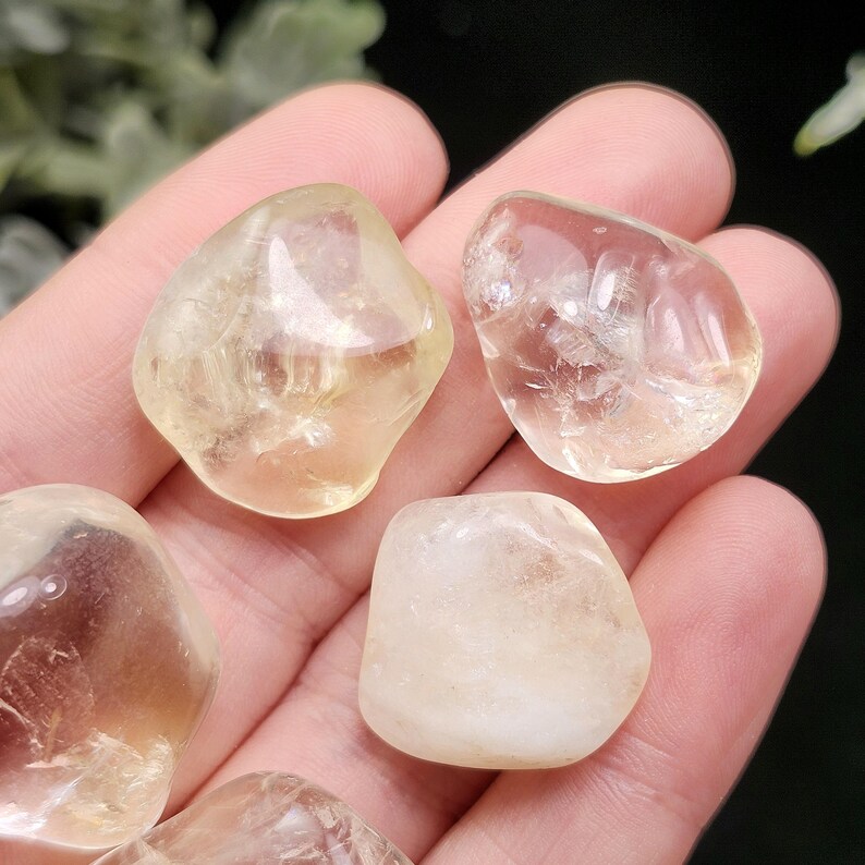 May include: Several tumbled citrine gemstones in varying shades of yellow and gold are held in a hand. The stones have smooth, rounded edges and a translucent appearance. The gemstones are a natural, earthy product.