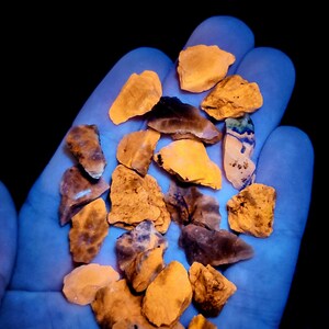 May include: A hand holding a collection of rough, irregularly shaped rocks. The rocks display a range of colors, including shades of orange, brown, and hints of blue and green. The image is illuminated with a blue light, creating a glowing effect.
