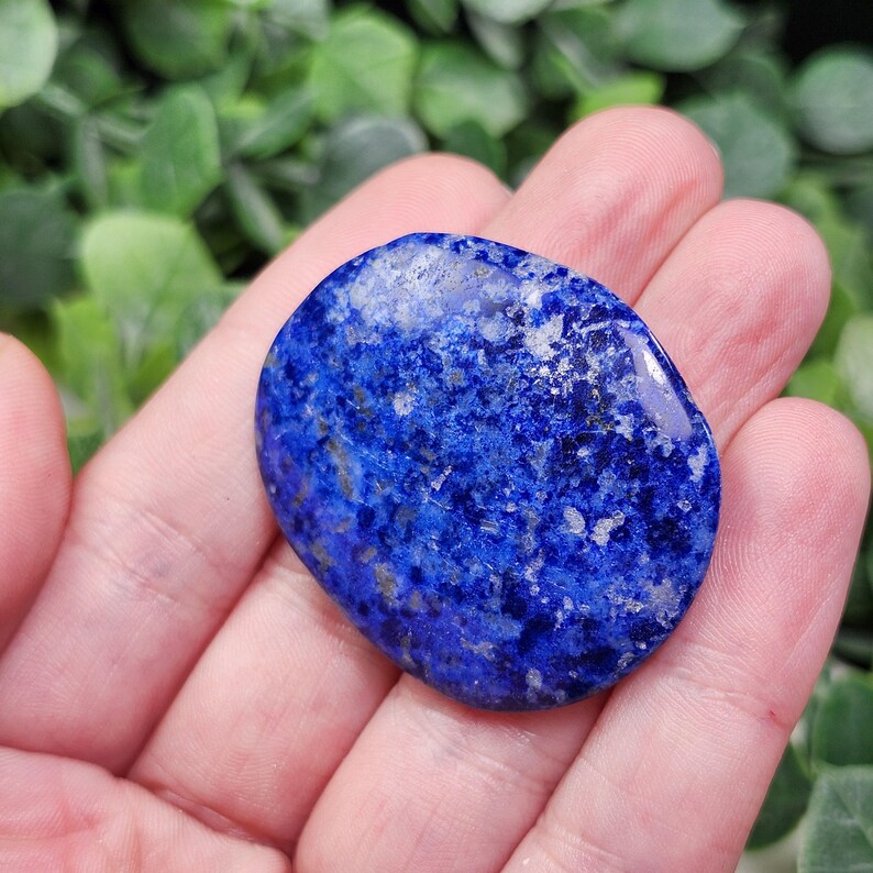 May include: A polished, oval-shaped lapis lazuli stone. The stone is a deep blue color with flecks of white and gold throughout. The stone is held in a hand, with green foliage in the background.