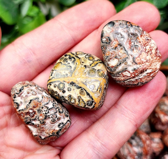 Leopard Skin Jasper - Leopard Stone - Rhyolite Jasper - Leopard Skin Jasper Tumble - Jasper Crystal - Tumbled Jasper - Leopard Jasper Tumble