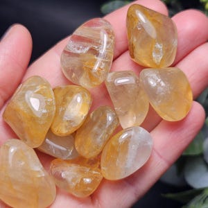 May include: A collection of polished, tumbled citrine stones with a translucent, golden-yellow hue. These smooth, rounded crystals exhibit natural internal inclusions and varying levels of clarity, showcasing a warm, honey-colored appearance.