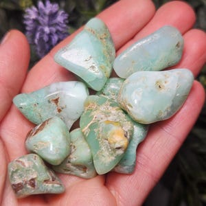 May include: A collection of tumbled chrysoprase stones featuring smooth, polished surfaces in shades of pale mint green and seafoam green, with visible natural brown and tan mineral inclusions and matrix patterns throughout the various stone shapes.