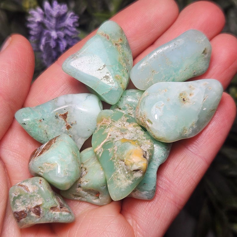 May include: A collection of tumbled chrysoprase stones featuring smooth, polished surfaces in shades of pale mint green and seafoam green, with visible natural brown and tan mineral inclusions and matrix patterns throughout the various stone shapes.