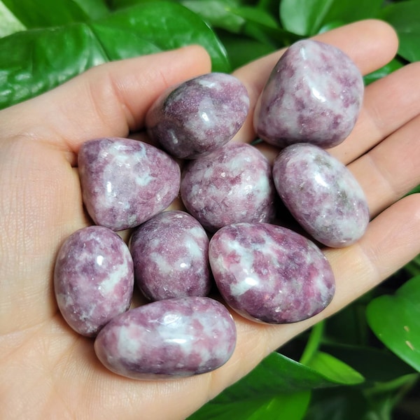 Lepidolite Crystal / Lepidolite Palm Stone / Lepidolite Stone / Lepidolite Palm / Lepidolite / Lepidolite Worry Stone / Purple Lepidolite