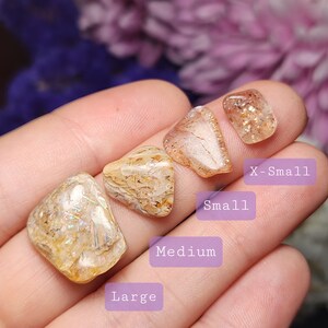 May include: Four polished gemstones of varying sizes, labelled X-Small, Small, Medium, and Large. The stones are held in a hand and have a warm, golden-brown colour with sparkling inclusions. Each stone has a unique shape.