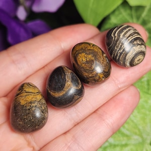 May include: Four polished, egg-shaped stones with unique patterns and colors. The stones feature a mix of dark brown, black, and golden-yellow hues, with swirling and banded designs. The stones are smooth and appear to be natural gemstones.