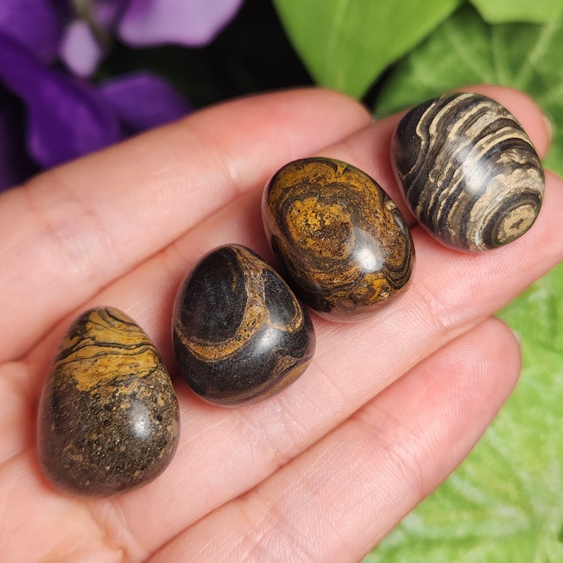 May include: Four polished, egg-shaped stones with unique patterns and colors. The stones feature a mix of dark brown, black, and golden-yellow hues, with swirling and banded designs. The stones are smooth and appear to be natural gemstones.