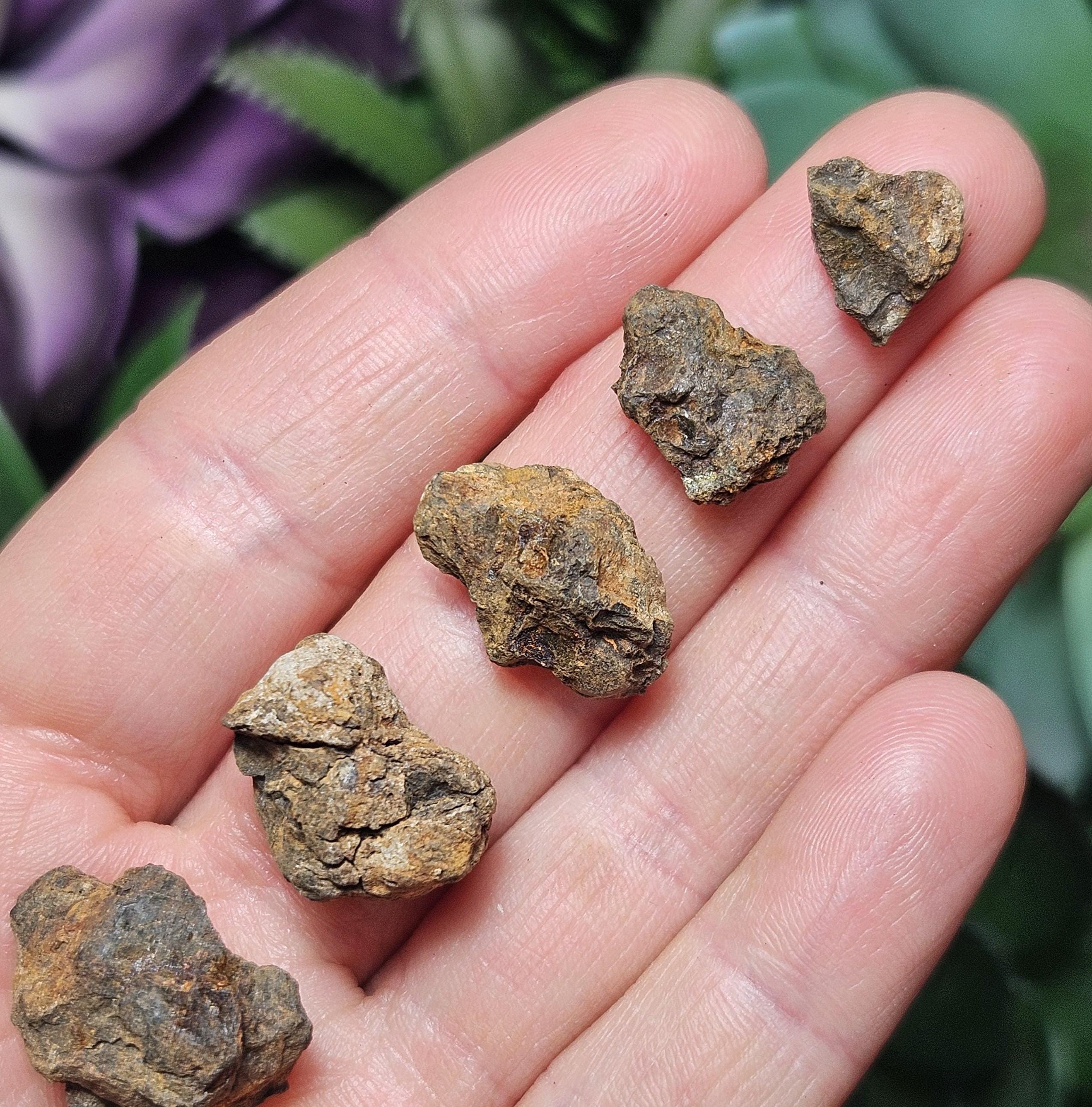 Pallasite Meteorite - Etsy
