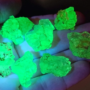 May include: A selection of glowing green mineral specimens. The rough, irregular shapes of the rocks are illuminated with a bright, neon green colour, creating a striking visual effect. The rocks are held in a hand.
