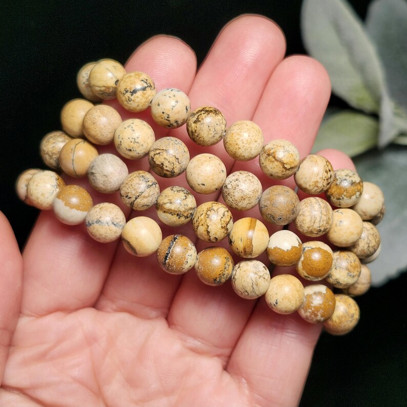 May include: Three beaded bracelets with round, beige jasper stones. The stones have brown and tan patterns. The bracelets are held in a hand, with a dark background and a hint of green foliage.