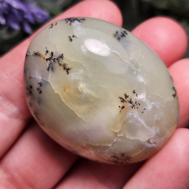 May include: A smooth, polished, oval-shaped dendritic agate stone featuring a translucent pale green and off-white base color. The surface is decorated with intricate, dark brown to black fern-like inclusions that branch out across the stone.