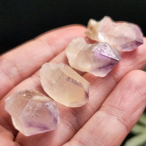 Puede incluir: Cuatro cristales de amatista en bruto, mostrando una mezcla de tonos morados y amarillos. Los cristales se sostienen en una mano, resaltando sus formas naturales e irregulares y su calidad transl&uacute;cida. Los cristales tienen una superficie rugosa y texturizada.