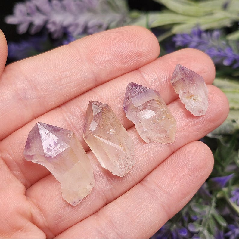 Puede incluir: Cuatro peque&ntilde;as puntas de cristal de amatista en bruto con un degradado de p&uacute;rpura a transparente. Los cristales se sostienen en una mano, con un fondo borroso de flores moradas.