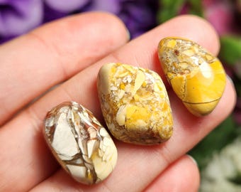 Brecciated Mookaite Jasper - Mookaite Crystal - Mookaite Jasper