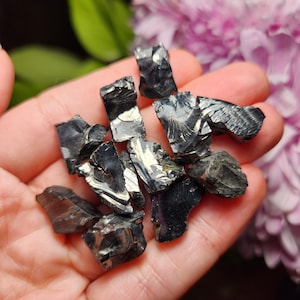 May include: A collection of black obsidian crystals with iridescent silver flecks. The crystals are irregularly shaped and have sharp edges.