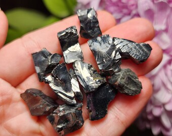 Piedras pulidas de shungita al por mayor, piedra preciosa natural pulida,  cristales curativos de shungita (Shungita, 0.5 libras)