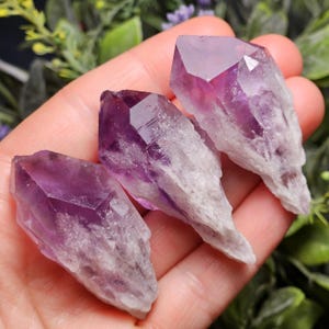 May include: Three amethyst crystal points with a deep purple hue at the tips and a white, rough base. The crystals are held in a hand, showcasing their natural, raw beauty. The crystals are a popular choice for spiritual and decorative purposes.