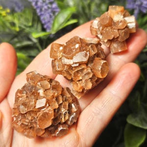 May include: Three clusters of aragonite crystals in shades of brown and tan are displayed. The crystals have a rough, textured appearance, with many small, individual crystal formations. The clusters are held in a hand, with a blurred green and purple background.