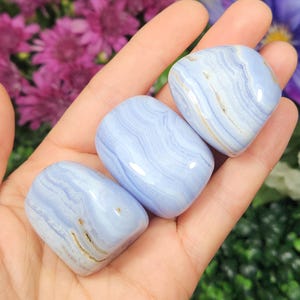 Namibian Blue Lace Agate Crystal Tumble Stone (XL)