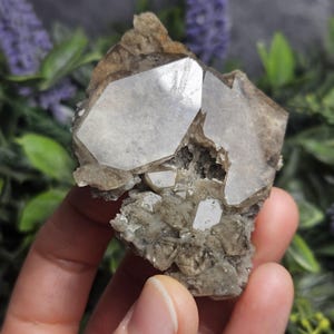 May include: A cluster of quartz crystals with a light brown matrix. The crystals are clear and faceted, with a hexagonal shape. The matrix is a mix of brown and gray tones, with a rough texture. The background is blurred with green and purple foliage.