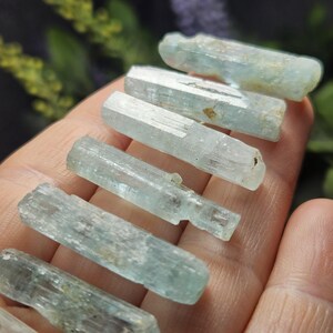 Puede incluir: Una colecci&oacute;n de cristales de aguamarina en bruto, cada uno con un tono azul p&aacute;lido y una textura natural sin pulir. Los cristales son alargados y var&iacute;an ligeramente en tama&ntilde;o, mostrando sus formaciones &uacute;nicas. El fondo est&aacute; borroso, resaltando las piedras preciosas.