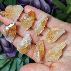 May include: A collection of eight raw citrine crystal points with translucent golden-yellow and white hues. Each stone features natural jagged edges, crystalline facets, and varying shapes, showcasing a mix of deep amber tones and clear quartz sections.