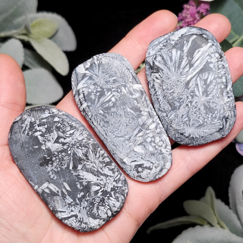 May include: Three gray and white rectangular stones with intricate, crystallized patterns. The stones are held in a hand, showcasing their unique textures and natural designs. The stones have rounded edges and a smooth surface.