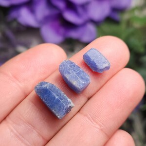 May include: Three rough, natural blue sapphire crystals of varying sizes. The crystals are translucent and have a slightly cloudy appearance.