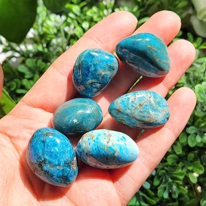 May include: Six polished, tumbled stones in shades of teal and turquoise are displayed in a hand. The stones have a smooth, rounded shape and varying patterns of color. Some stones have darker blue and brown inclusions.