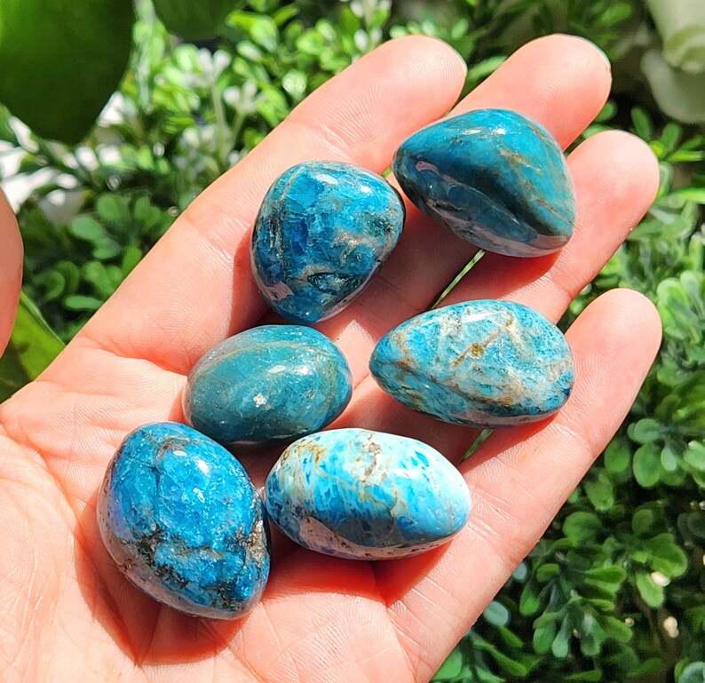 May include: Six polished, tumbled stones in shades of teal and turquoise are displayed in a hand. The stones have a smooth, rounded shape and varying patterns of color. Some stones have darker blue and brown inclusions.