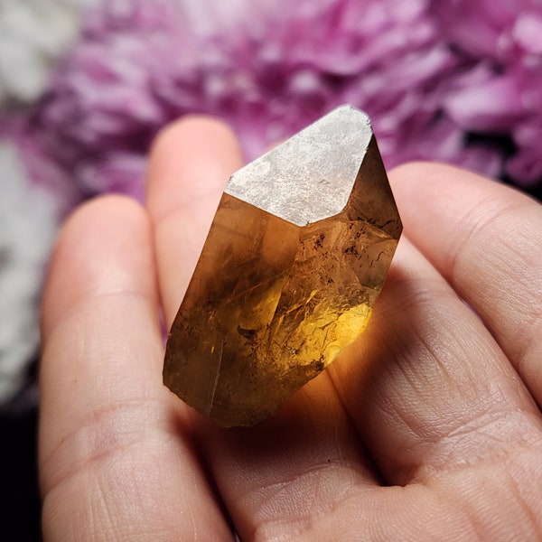 Congo Citrine / Natural Citrine / Citrine Crystal / Citrine Point / Citrine Crystal Point / Citrine Tower / Citrine Quartz Crystal / Citrine