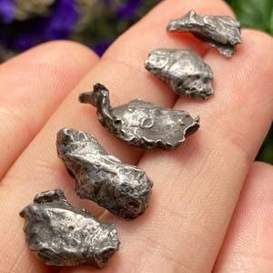 Fragmento de meteorito: Sikhote Alin, cristal natural de níquel-ferro