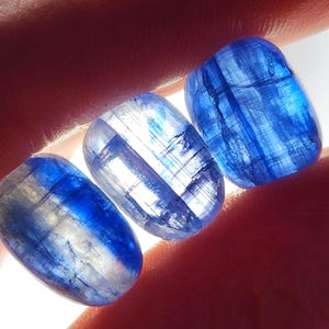 Polished Blue Kyanite Crystal Specimen: Natural Gemstone