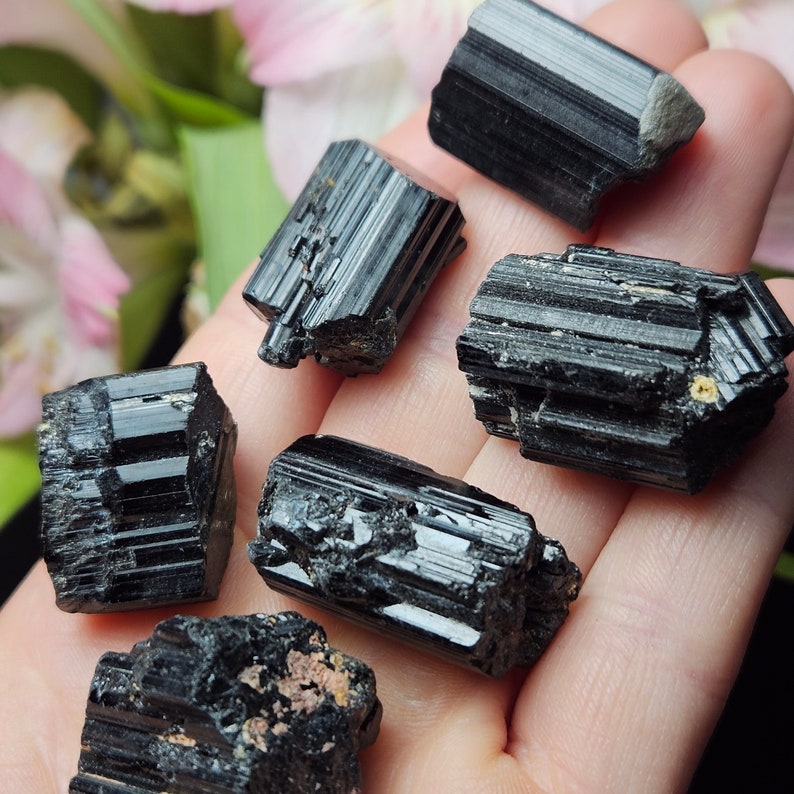 Peut inclure: Six cristaux de tourmaline noire brute avec des stries verticales et des bords irr&eacute;guliers et dentel&eacute;s. Ces sp&eacute;cimens min&eacute;raux sombres et opaques pr&eacute;sentent une texture naturelle non polie avec des formes g&eacute;om&eacute;triques vari&eacute;es.