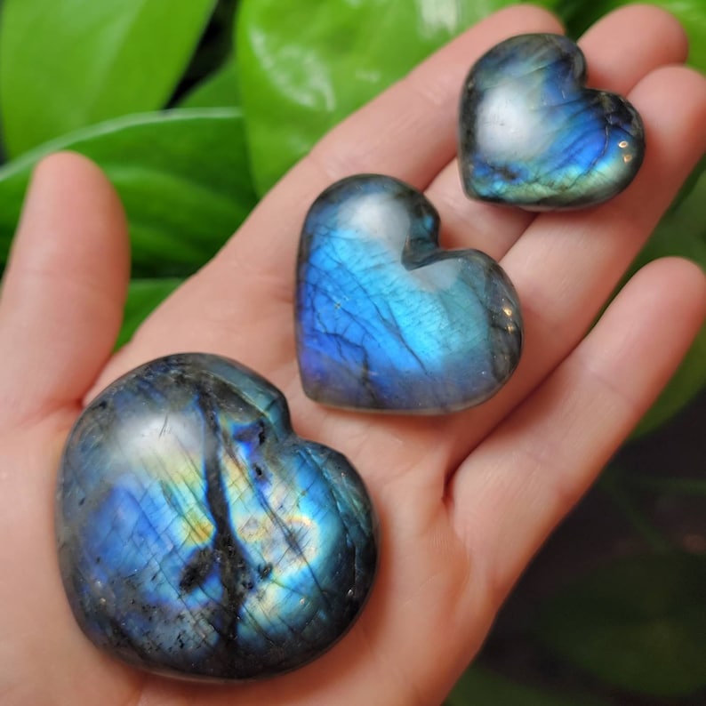 May include: Three heart-shaped labradorite crystals in various sizes. The crystals are a deep blue with iridescent flashes of gold and green.