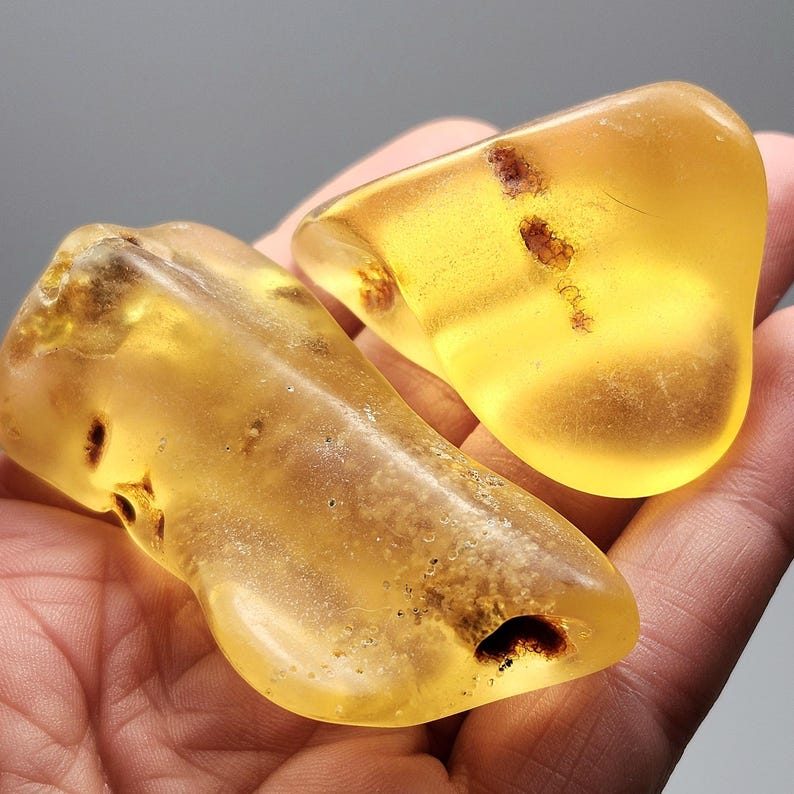 May include: Two polished pieces of translucent golden yellow amber. The larger, elongated piece features dark brown organic inclusions and small surface pits. The smaller, rounded piece displays a distinct line of dark brown inclusions within.