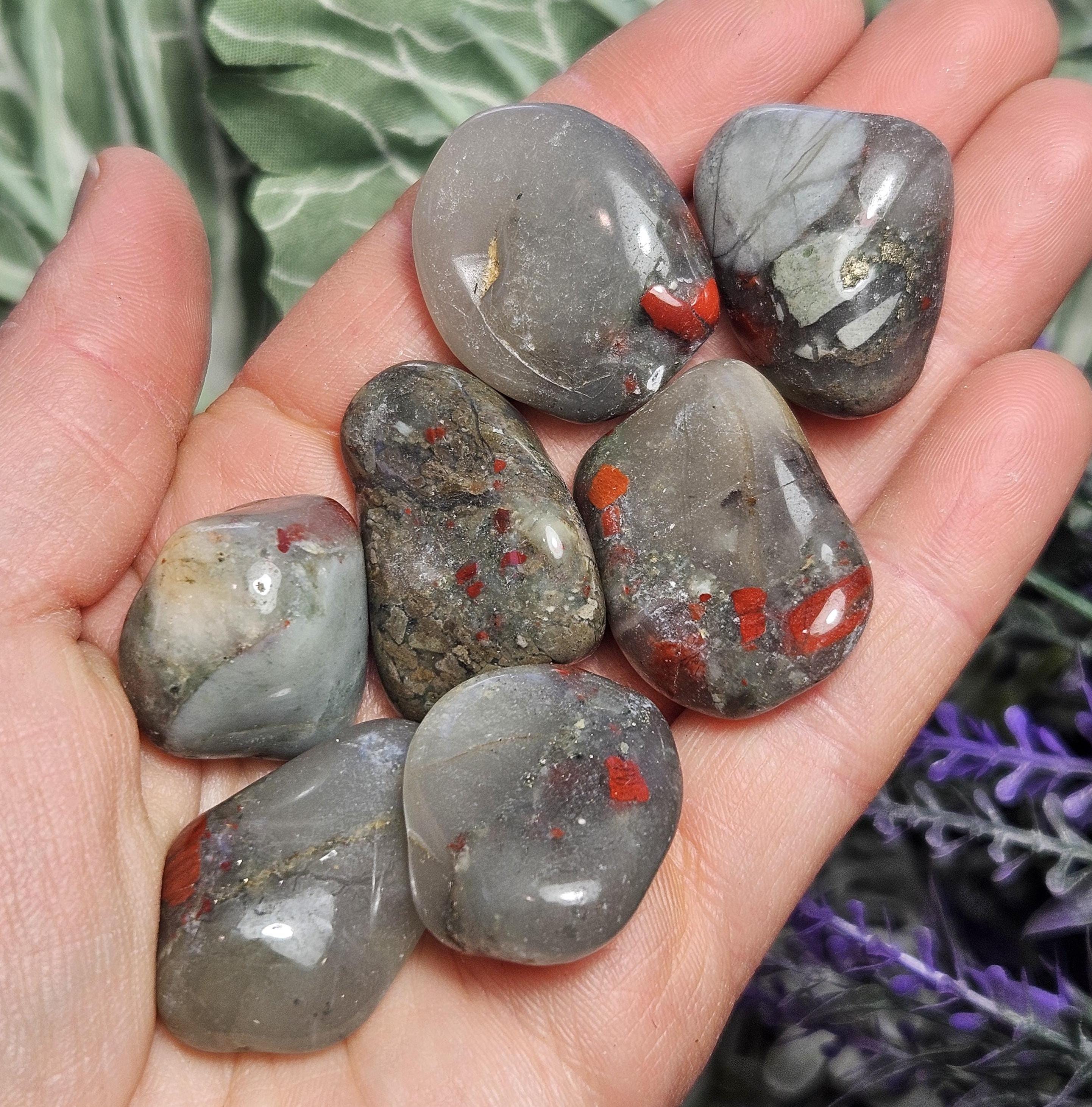 Zentron Crystal Collection 1 2 Pound Tumbled Bloodstone | Seychelles