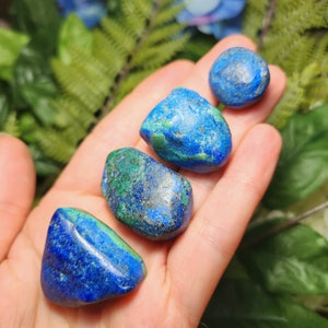 May include: Four polished azurite stones in varying shapes and sizes. The stones display a deep blue color with patches of green. The stones are held in an open hand, with a blurred background of green foliage.